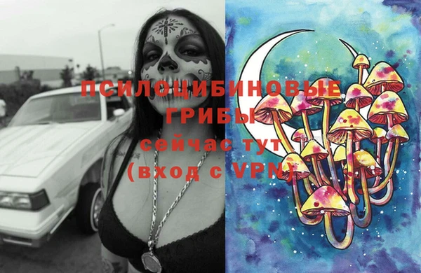 МДПВ Балахна
