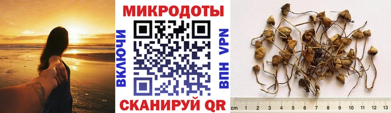 наркотики  Пестово  Галлюциногенные грибы ЛСД 