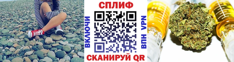 Каннабис семена  продажа наркотиков  Пестово 